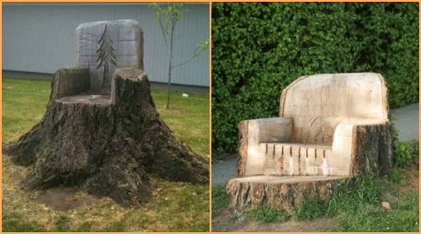 Tree stumps arms chairs